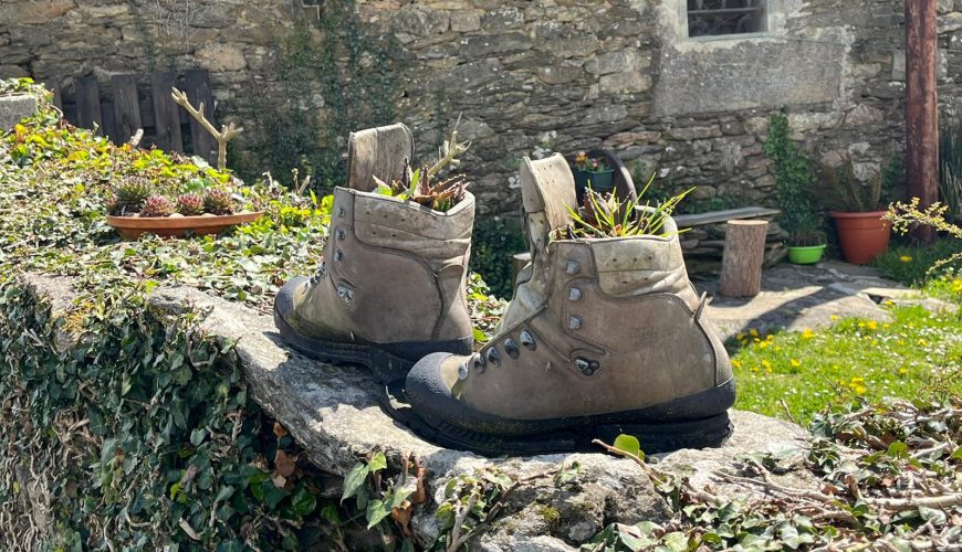 camino_de_santiago