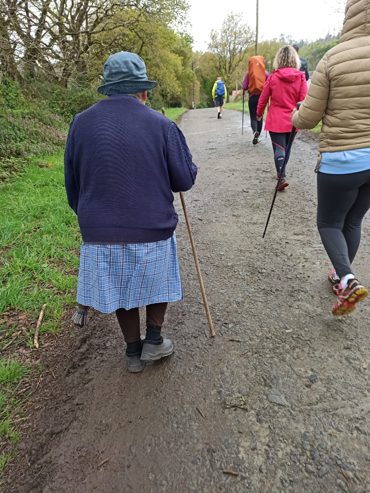 Day 17 : O Pedrouzo - Santiago de Compostela (19.4 km  ~ 4 hours)
