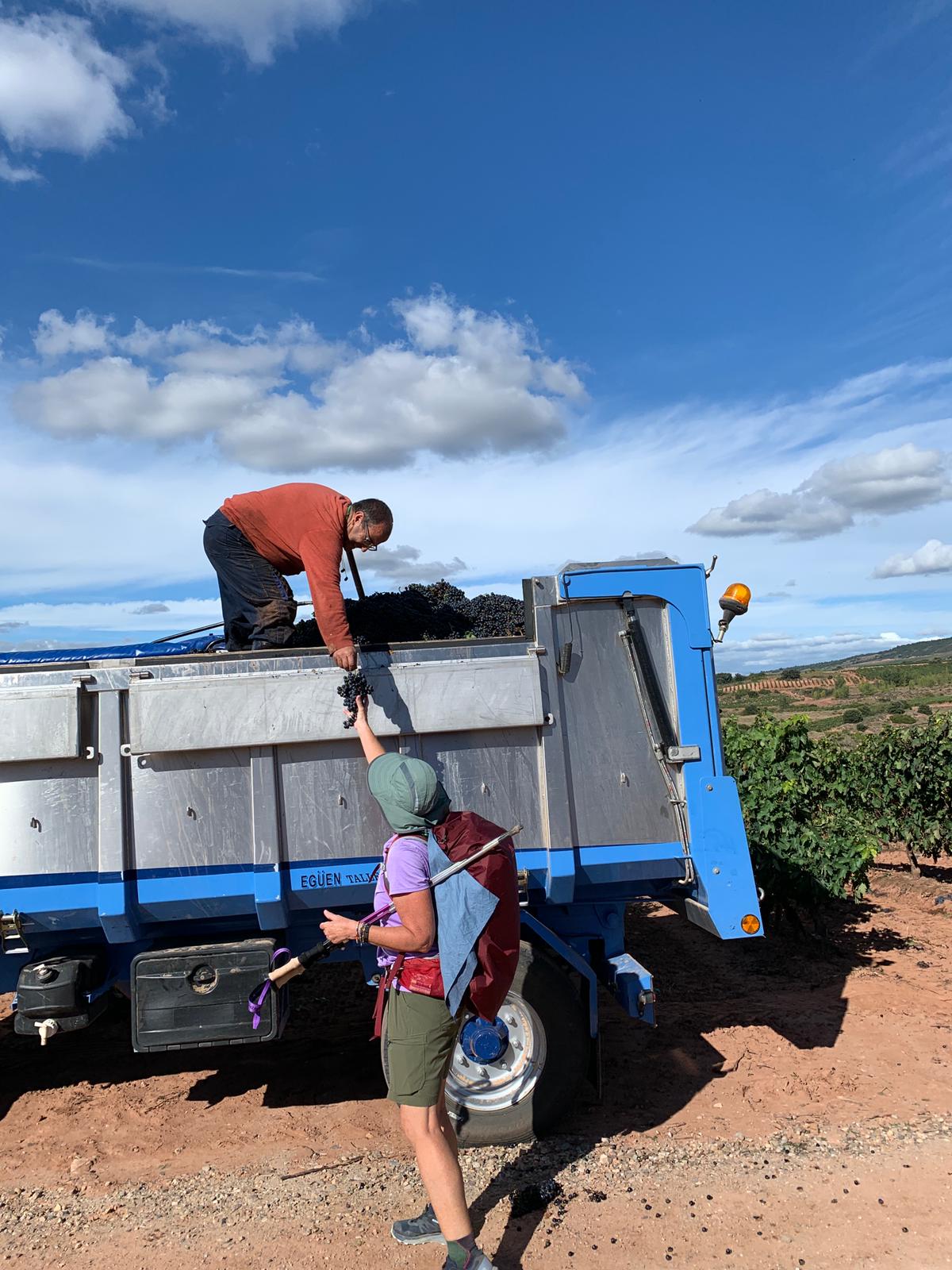 Día 9 : Nájera - Santo Domingo de la Calzada (21 km ~ 5 horas)