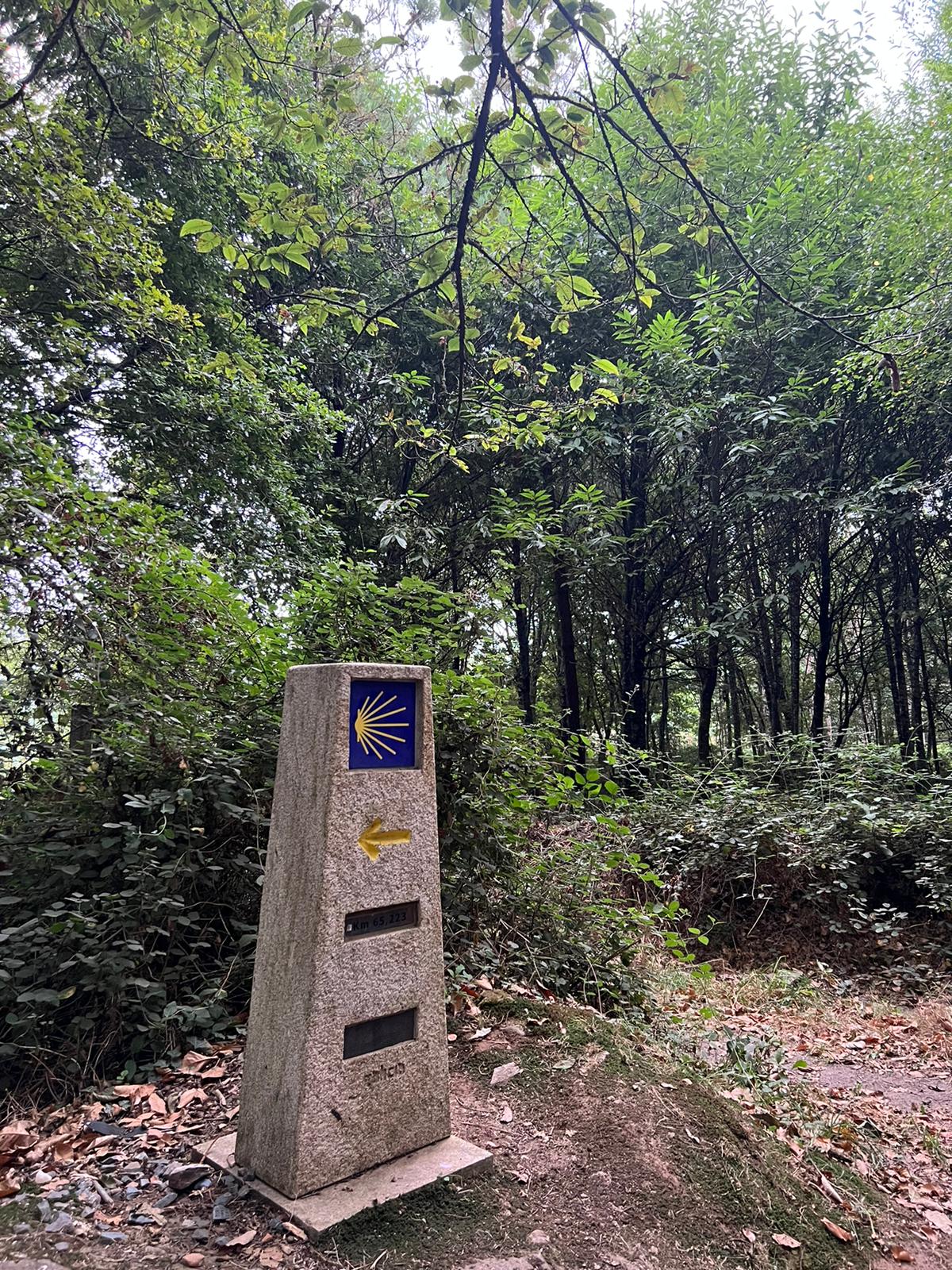 Day 11 : Triacastela - Sarria (18 km ~ 4 hours)