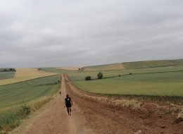 camino_frances_logroño_burgos