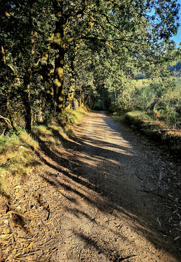 Día 4 : O Castro - Silleda  (28 km ~ 7 horas)