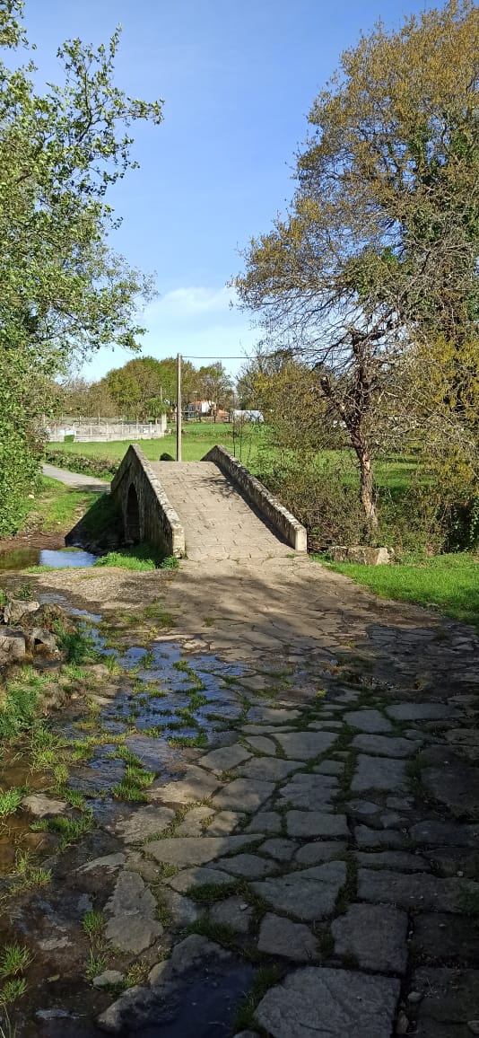 Day 14: Palas de Rei - Melide (14.4 km ~ 3 hours)