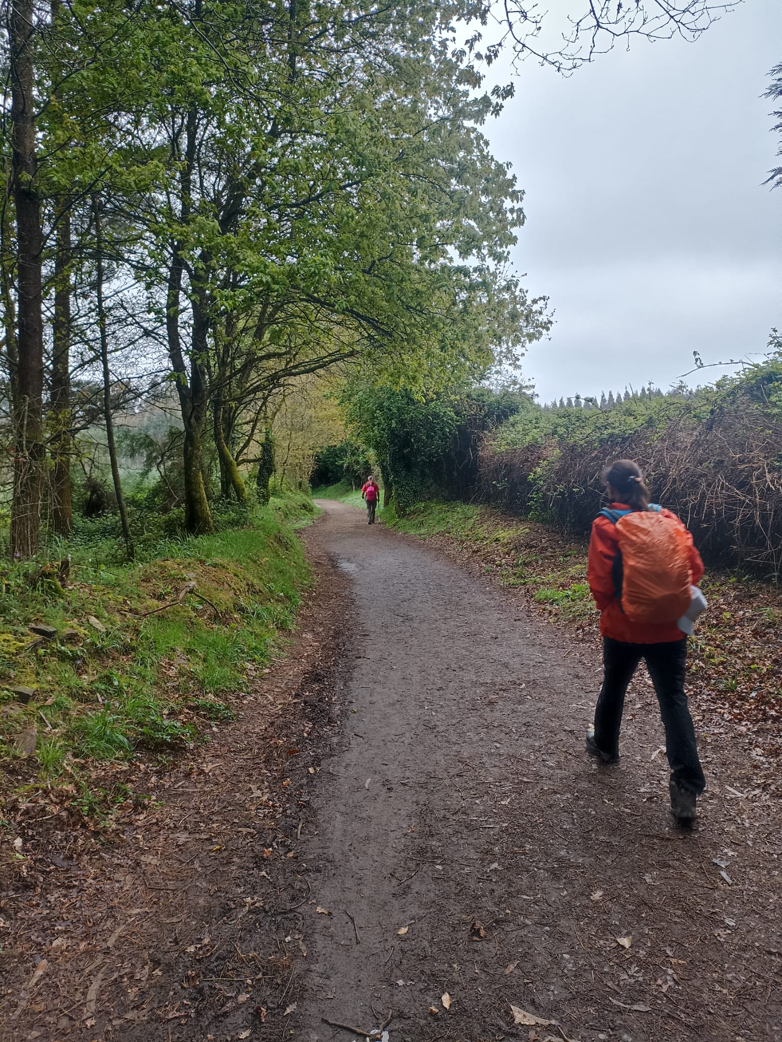Day 6 : O Pedrouzo - Santiago de Compostela (19.4 km  ~ 4 hours)