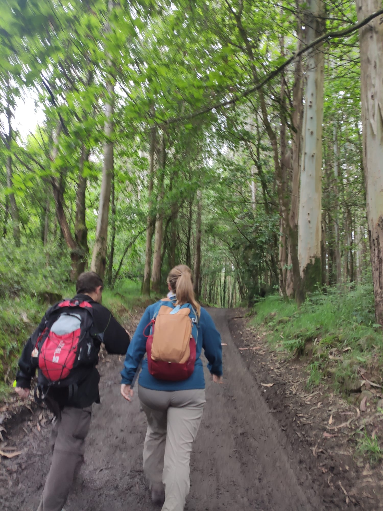 Day 5 : Arzúa - O Pedrouzo (19.3 km ~ 4 hours)