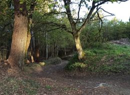 camino_primitivo