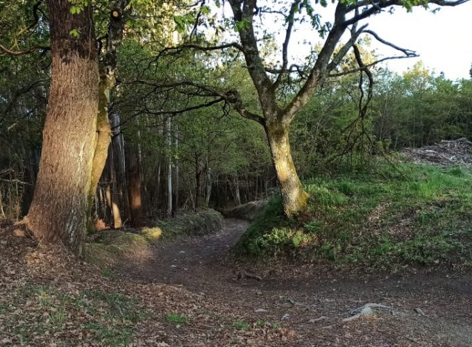 Rutas Meigas : especialistas en Camino de Santiago y excursiones a medida en Galicia