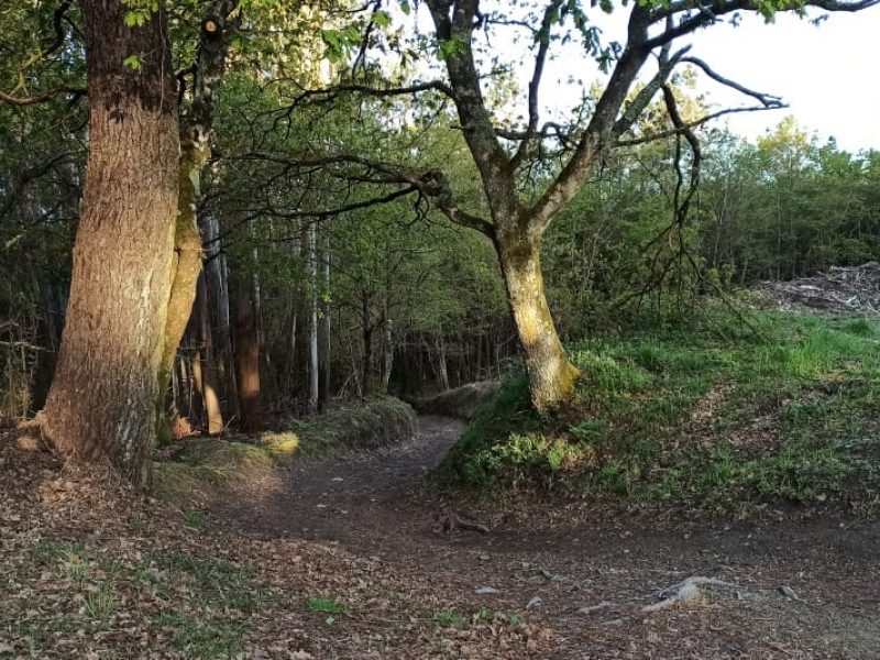 Rutas Meigas : especialistas en Camino de Santiago y excursiones a medida en Galicia