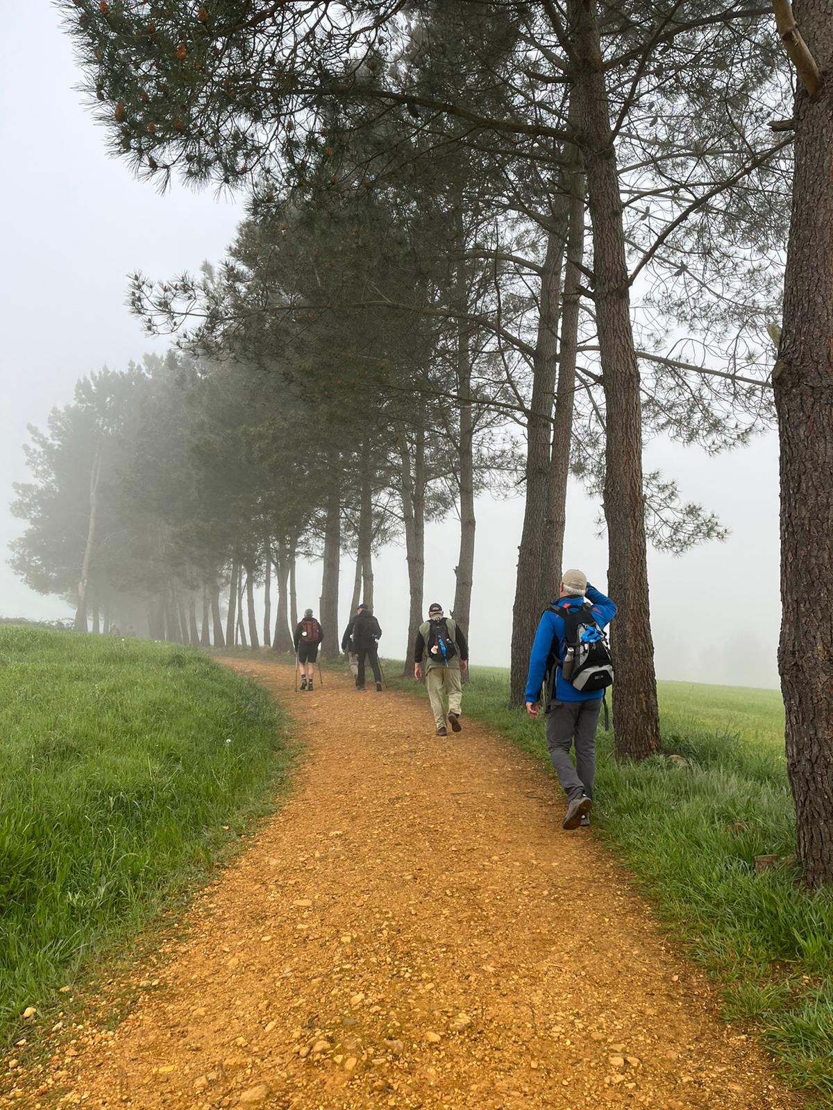 Día 5 : Ventas de Narón - Palas de Rei (11,8 km ~ 3 horas)