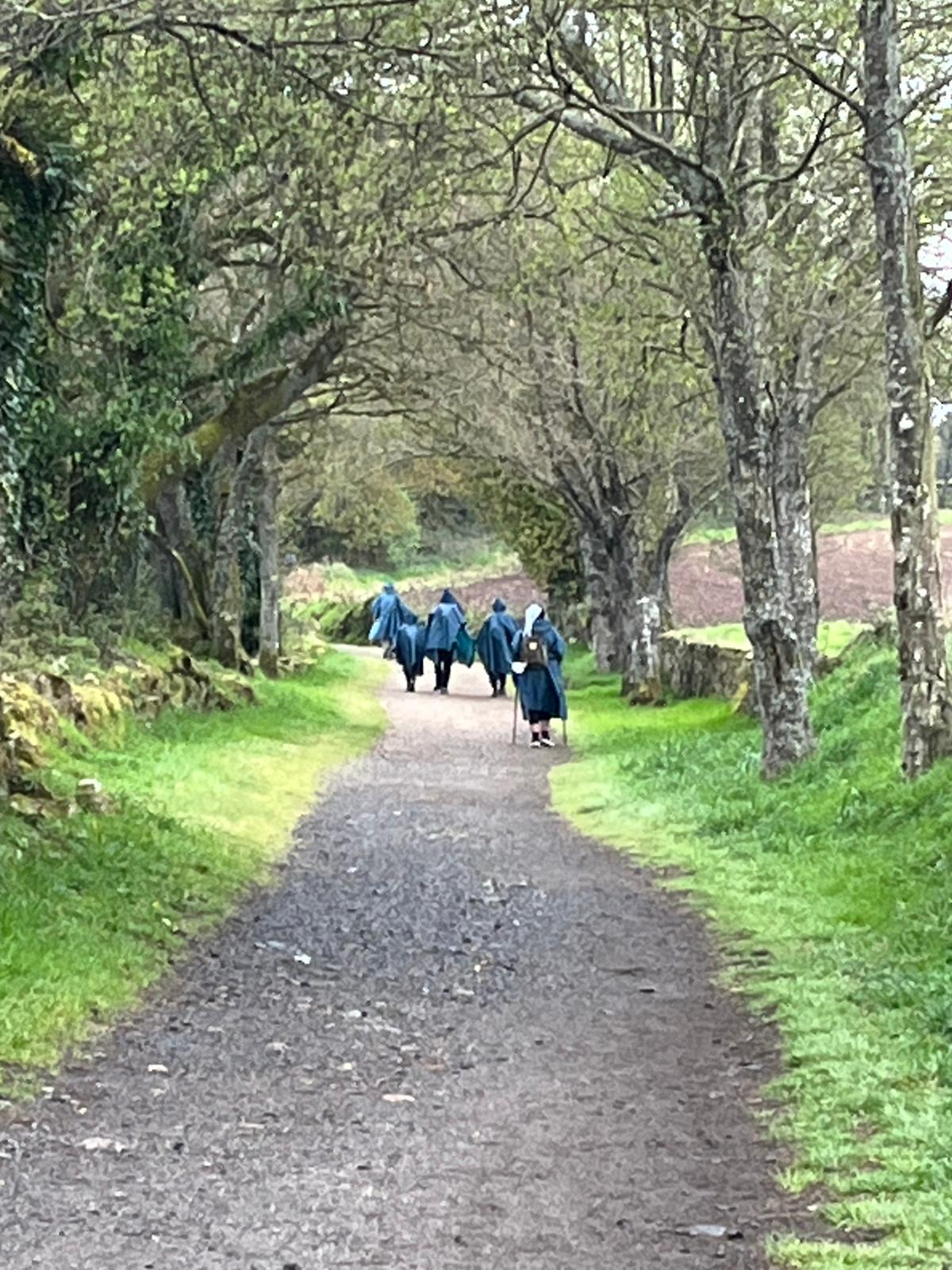 Día 7 : O Pedrouzo - Santiago de Compostela (19.4 km ~ 4 horas)