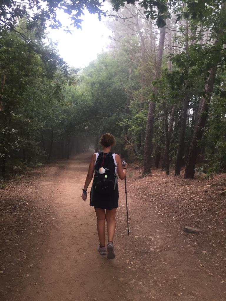 Día 3 : Portomarín - Palas de Rei (24.8 km ∼ 6 horas)