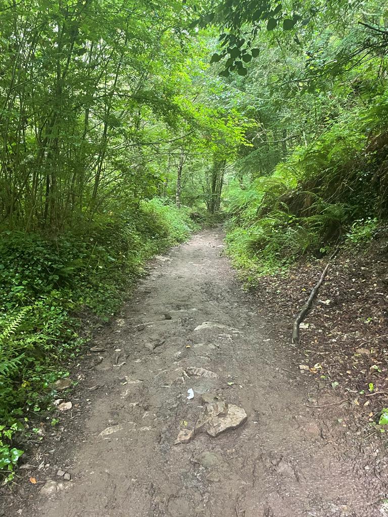 Day 9: Vega de Valcarce - O Cebreiro (11.5 km ~ 3 hours)