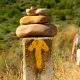 Rutas Meigas : especialistas en Camino de Santiago y excursiones a medida en Galicia