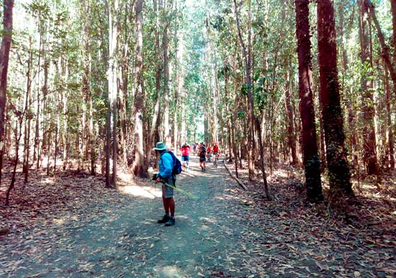 Day 8 : Vega de Valcarce - O Cebreiro (11.5 km ~ 3 hours)