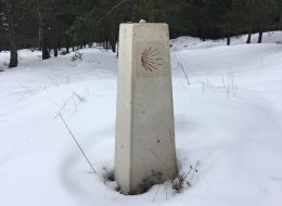 Camino Francés de Roncesvalles a Logroño