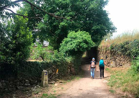 Tag 38: Azúa - O Pedrouzo  19,3 km.  (+/- 4 Stunden)