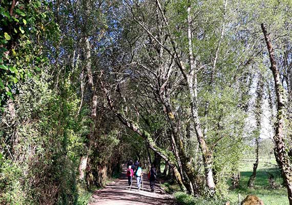  Tag 3, Portomarin - Palas de Rei (24,8 km +/- 6 Stunden)