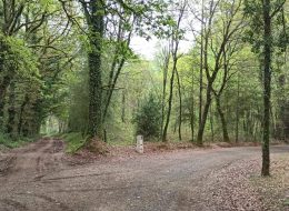 Camino Frances from Sarria to Santiago de Compostela