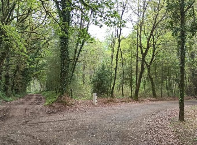 Rutas Meigas : especialistas en Camino de Santiago y excursiones a medida en Galicia