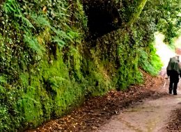 camino del norte