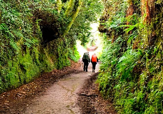 Día 21: Ribadesella - Colunga (20.1 km ~ 5 horas)