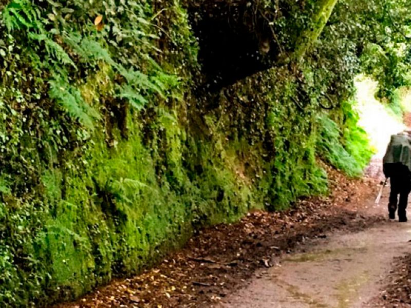 Rutas Meigas : especialistas en Camino de Santiago y excursiones a medida en Galicia