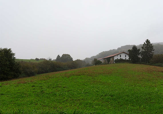 Día 6: Gernika - Lezama (20.8 km ~ 5 horas)