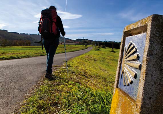 Día 34: Abadín - Vilalba (20.8 km ~ 5 horas)