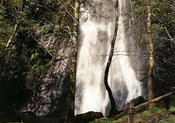 Day 4 : Melide - Arzúa (14.1 km ~ 3 hours)