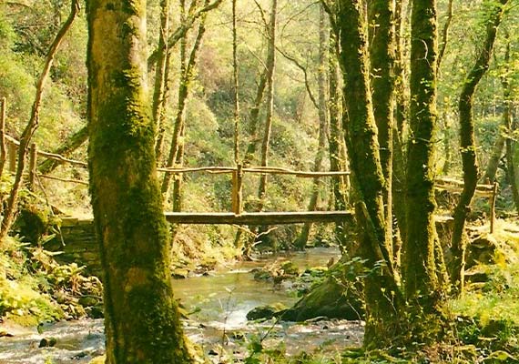 Day 3 : A Ponte de Ferreira - Melide (20 km ~ 5 hours)