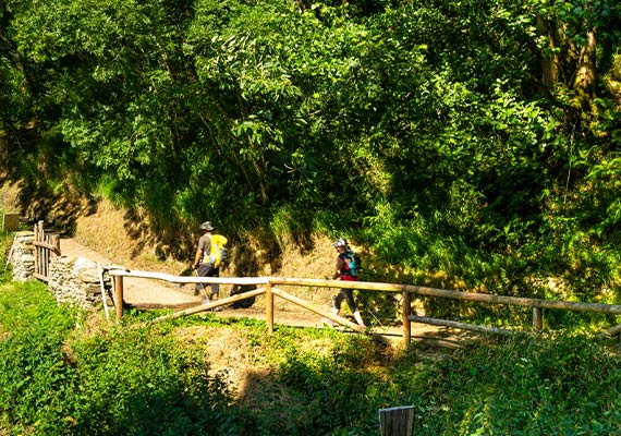 Tag 4, Salas - Tineo (19,8 km - +/- 5 Stunden)