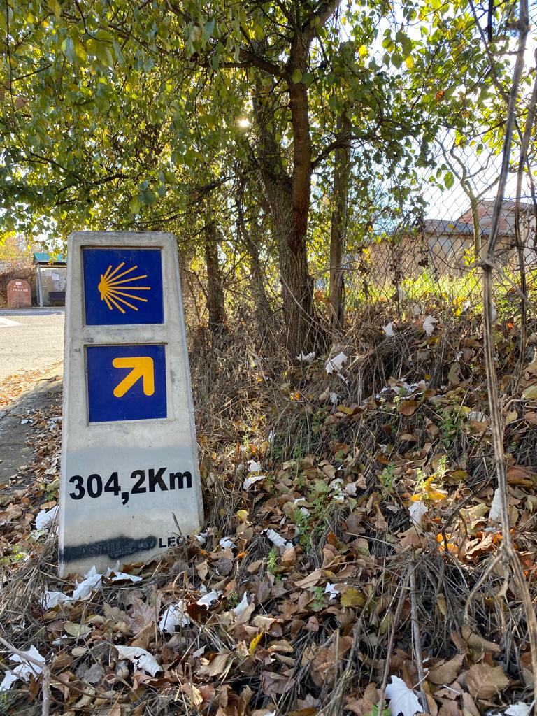 Day 2 : León -Olcina de Valndoncina (11 km ~ 3 hours)
