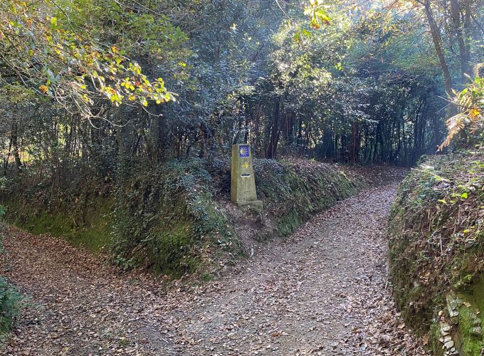 Rutas Meigas : especialistas en Camino de Santiago y excursiones a medida en Galicia