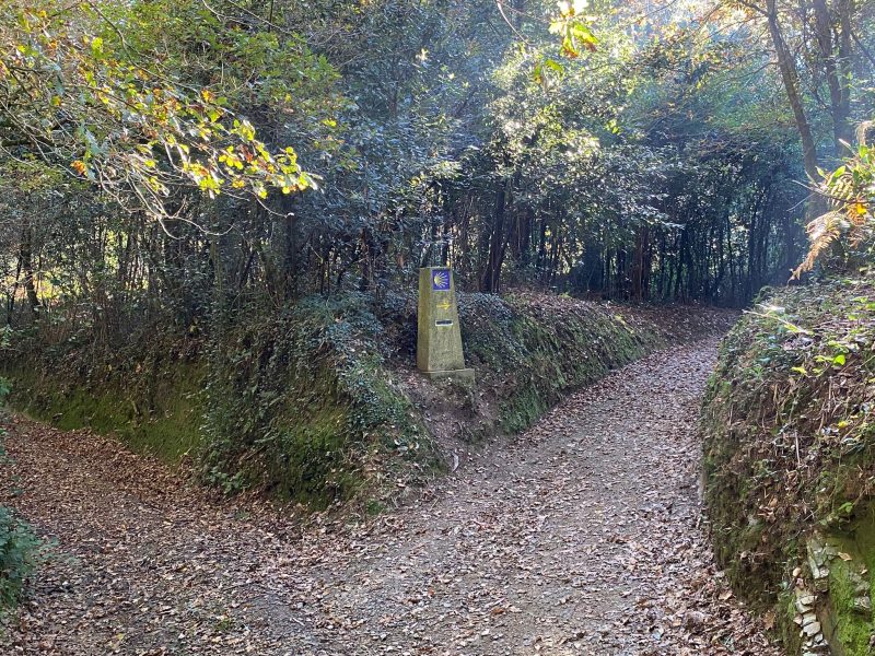Rutas Meigas : especialistas en Camino de Santiago y excursiones a medida en Galicia