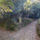 camino_ingles_ferrol_santiago