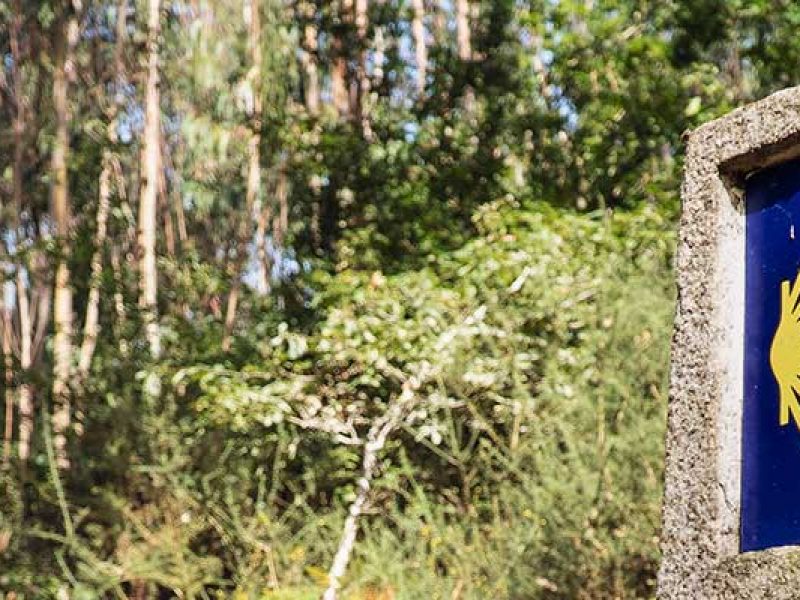 Rutas Meigas : especialistas en Camino de Santiago y excursiones a medida en Galicia