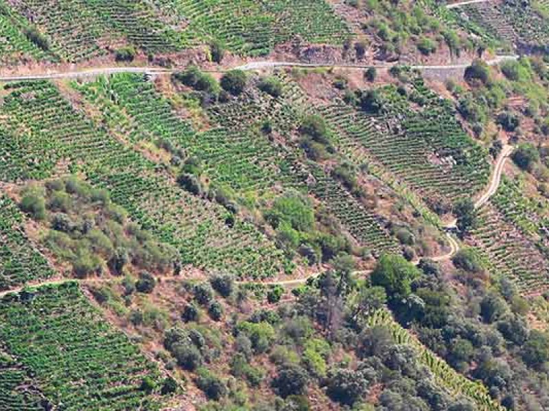 Rutas Meigas : especialistas en Camino de Santiago y excursiones a medida en Galicia