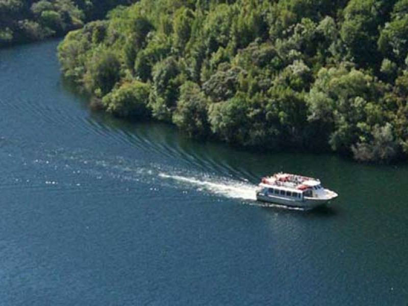 Rutas Meigas : especialistas en Camino de Santiago y excursiones a medida en Galicia