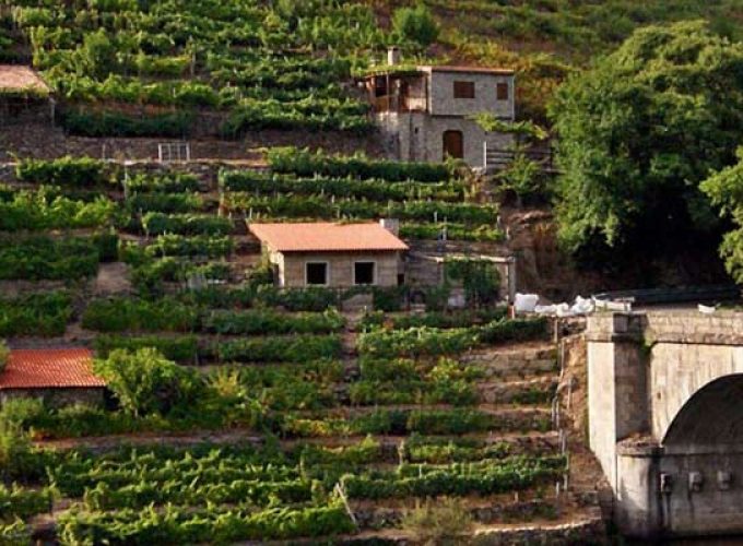 Rutas Meigas : especialistas en Camino de Santiago y excursiones a medida en Galicia