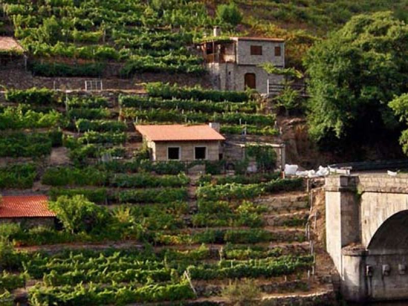 Rutas Meigas : especialistas en Camino de Santiago y excursiones a medida en Galicia
