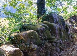 Rutas Meigas : especialistas en Camino de Santiago y excursiones a medida en Galicia