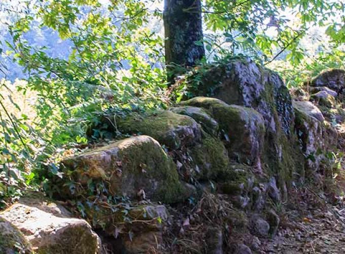 Rutas Meigas : especialistas en Camino de Santiago y excursiones a medida en Galicia