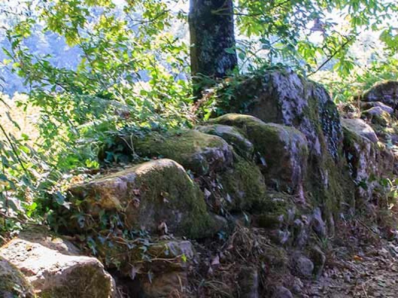 Rutas Meigas : especialistas en Camino de Santiago y excursiones a medida en Galicia