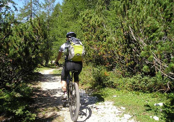 Día 6 : Pontevedra - Santiago (66 km)