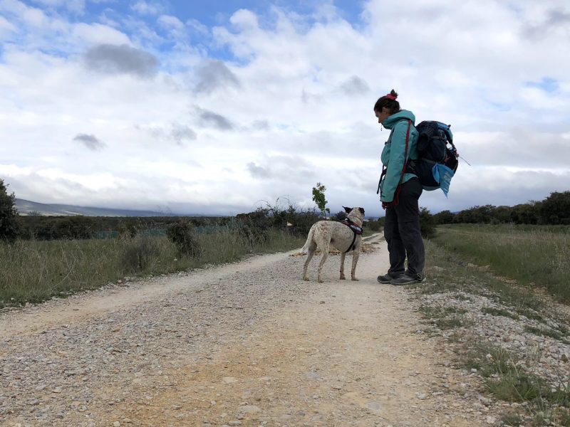 Rutas Meigas : especialistas en Camino de Santiago y excursiones a medida en Galicia