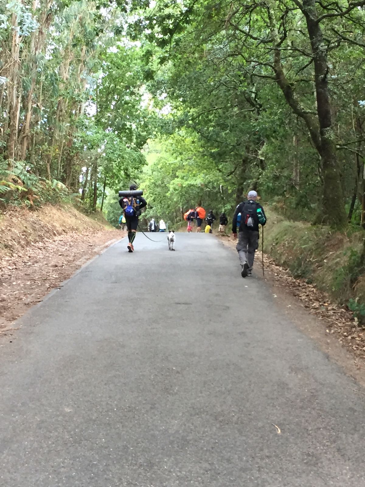 Day 7 : O Pedrouzo- Santiago de Compostela (19.4 km - 16.1 km ~ 4 hours)