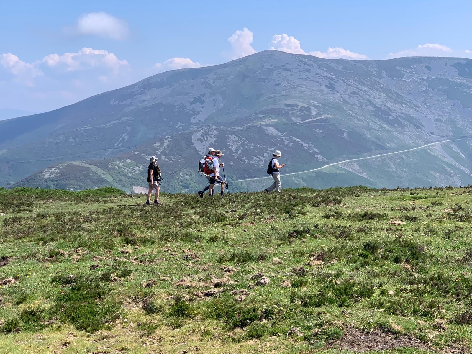 /camino-de-santiago-rutas-elegir-agencia