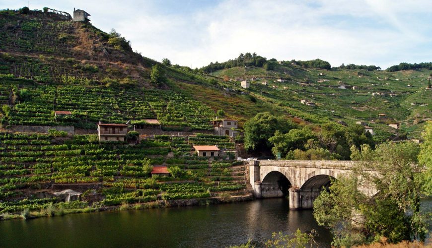 camino-de-santiago-invierno-ponferrada-compostela