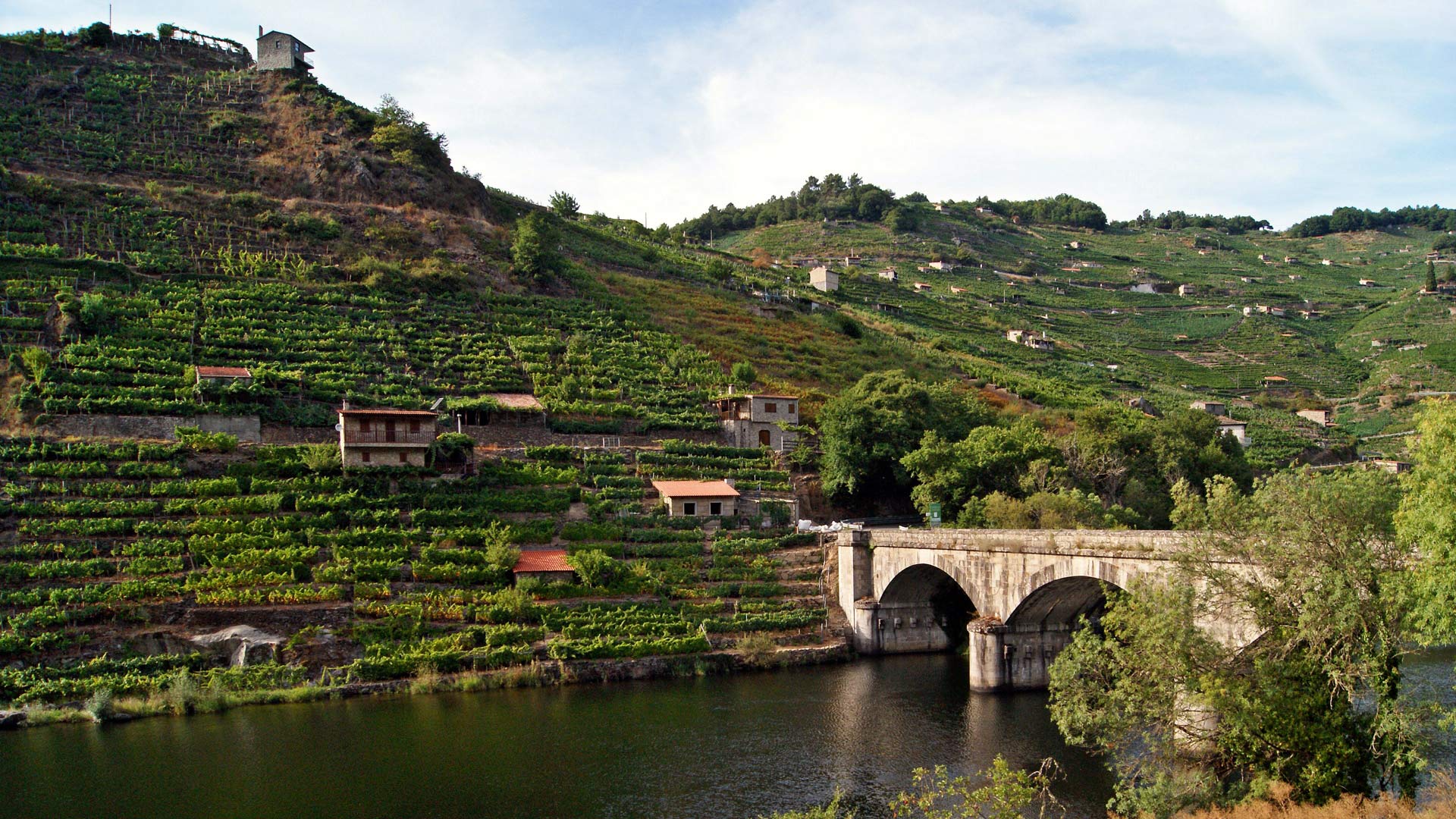 camino-de-santiago-invierno-ponferrada-compostela