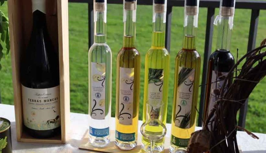 Vinos y licores de Galicia